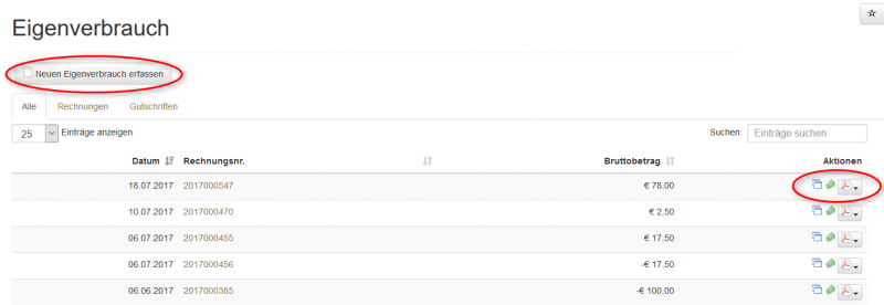 Eigenverbrauch1.png